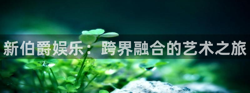 杏鑫娱乐