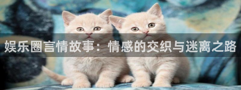 杏鑫娱乐