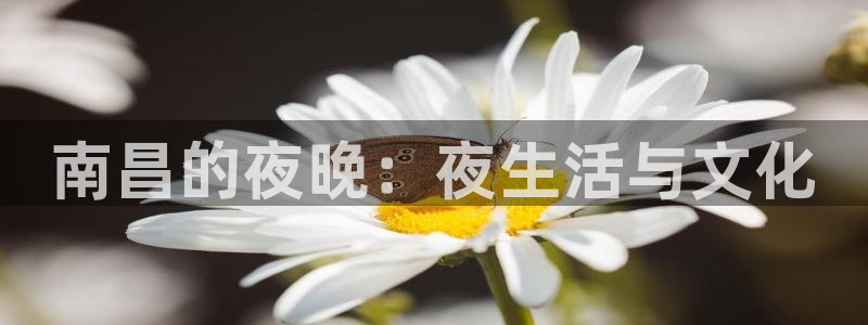 杏鑫娱乐